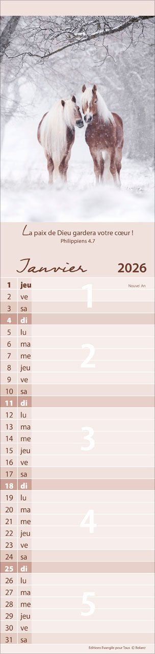 Calendrier - Pour Vous - Animaux