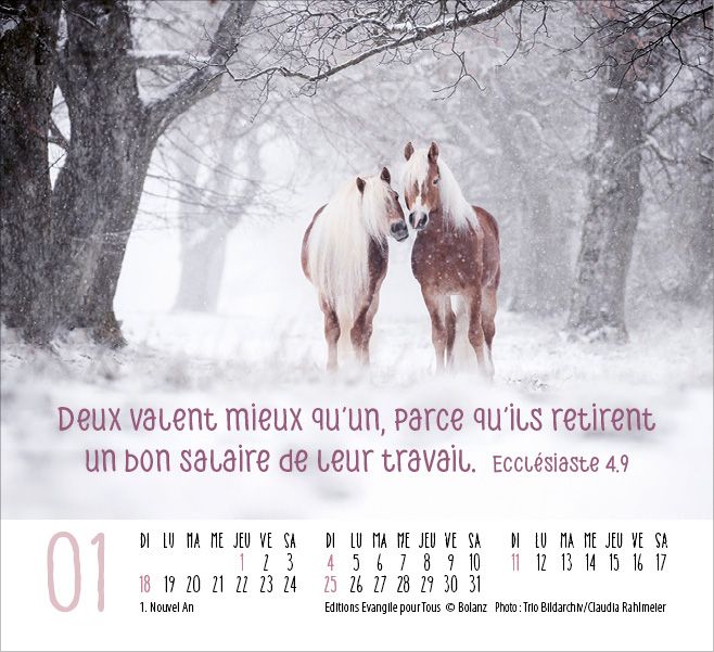 Calendrier - mini rencontres