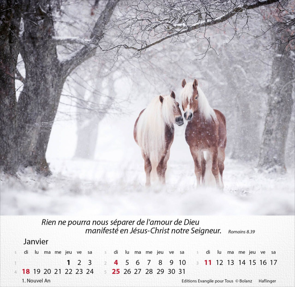 Calendrier - Chevaux - Merveilles de la création