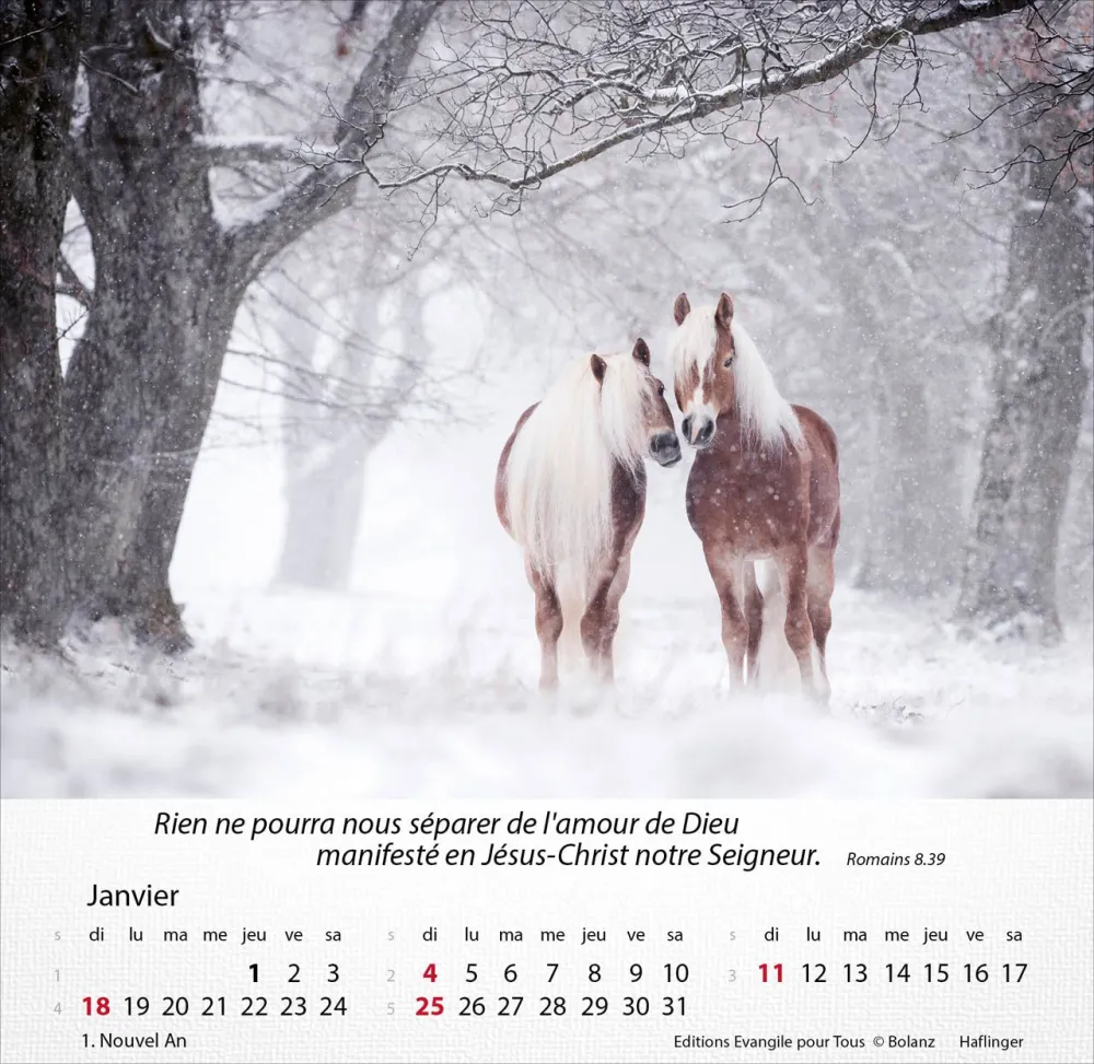 Calendrier - Chevaux - Merveilles de la création