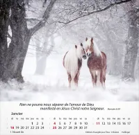 Calendrier - Chevaux - Merveilles de la création