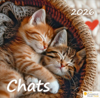 Calendrier - Chats - Merveilles de la création