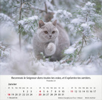 Calendrier - Chats - Merveilles de la création