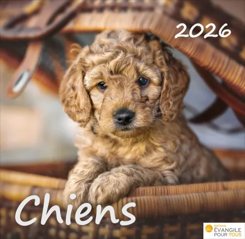 Calendrier - Chiens - Merveilles de la création