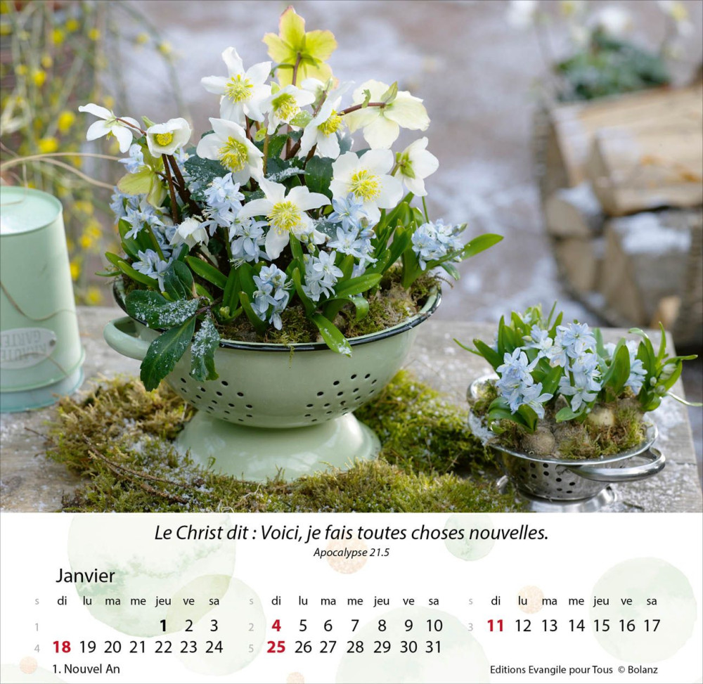 Calendrier - Jardins - Merveilles de la création