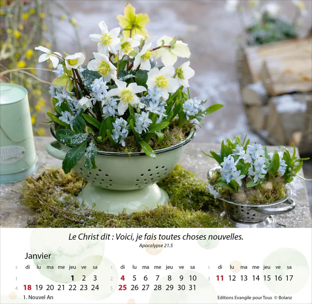 Calendrier - Jardins - Merveilles de la création