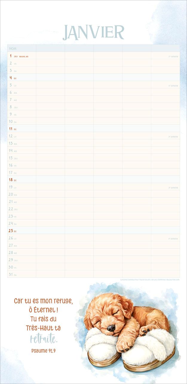 Calendrier - Planning famille