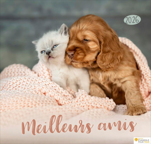 Calendrier - Meilleurs amis