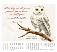 Calendrier - mini Beauté de la création