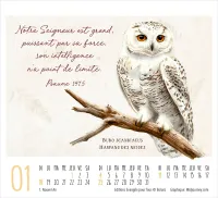 Calendrier - mini Beauté de la création