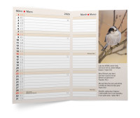 Agenda international 4 langues