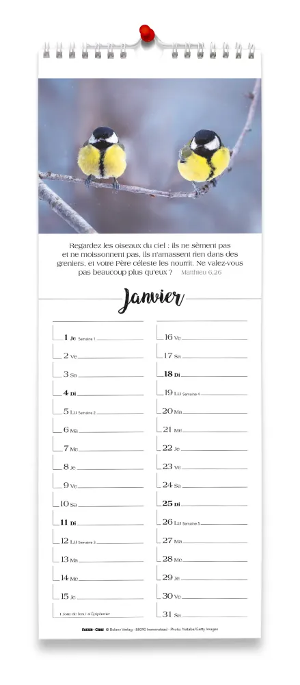 Calendrier - Chaque jour