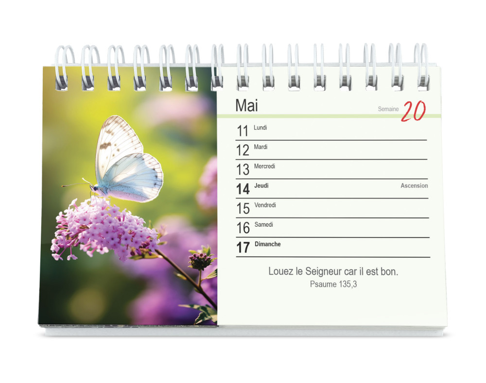 Calendrier - Tu m'accompagnes