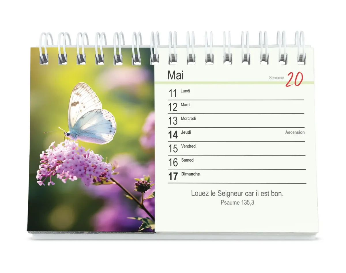Calendrier - Tu m'accompagnes