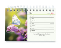 Calendrier - Tu m'accompagnes