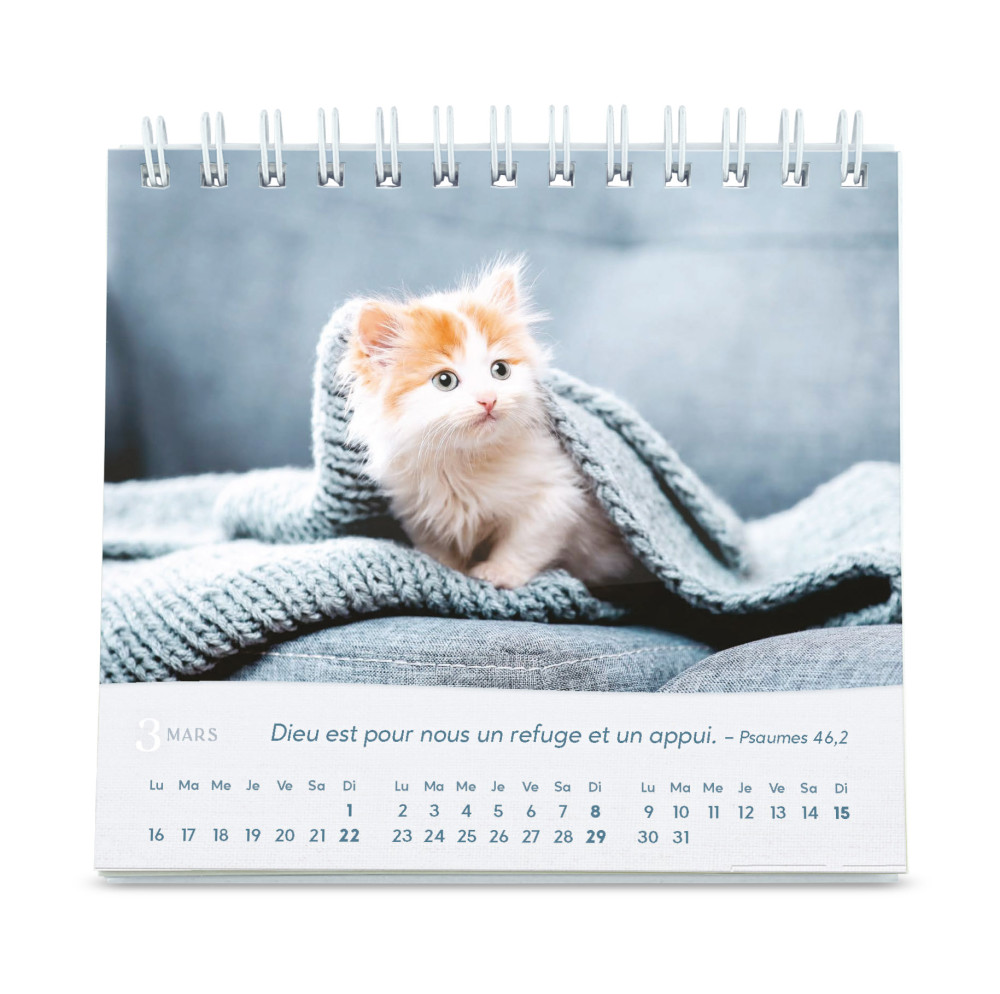 Calendrier - Les chats (petit format)