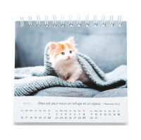 Calendrier - Les chats (petit format)