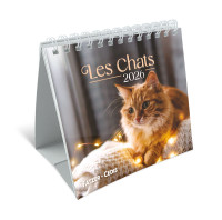 Calendrier - Les chats (petit format)