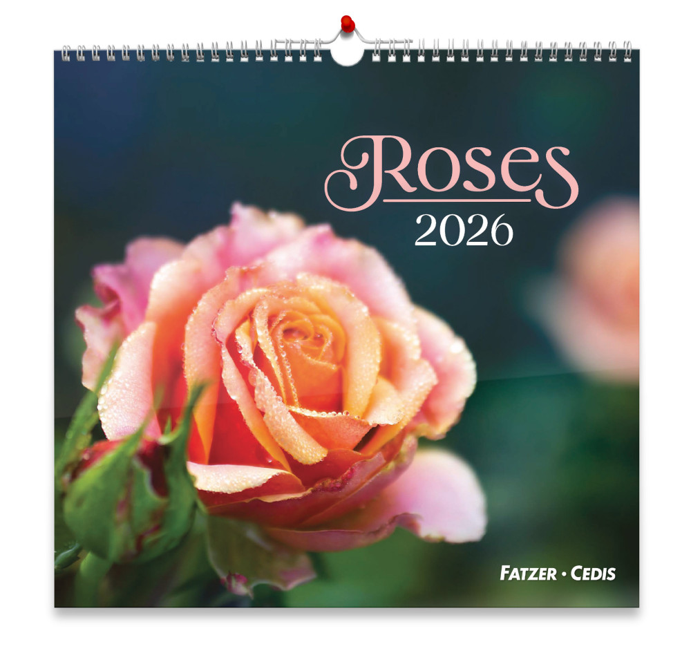 Calendrier - Roses (grand format)