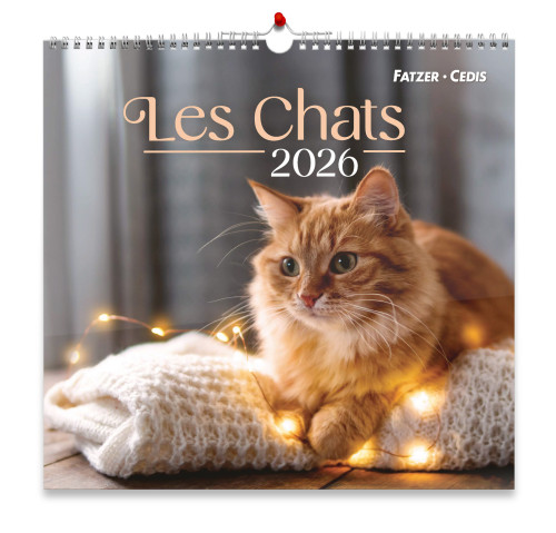 Calendrier - Les chats (grand format)