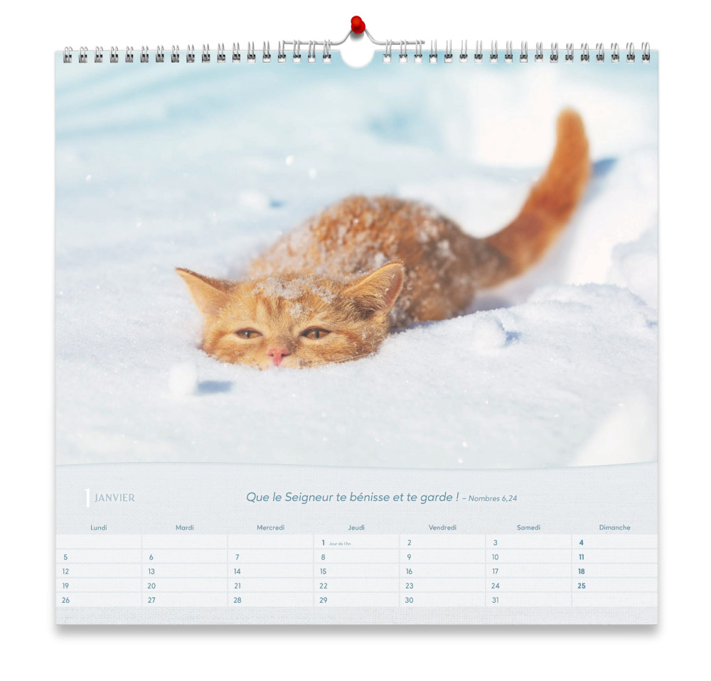 Calendrier - Les chats (grand format)