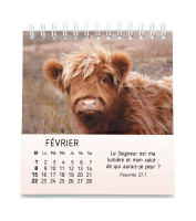 Calendrier - Mes petits amis