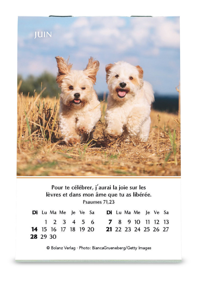 Calendrier - mini joie