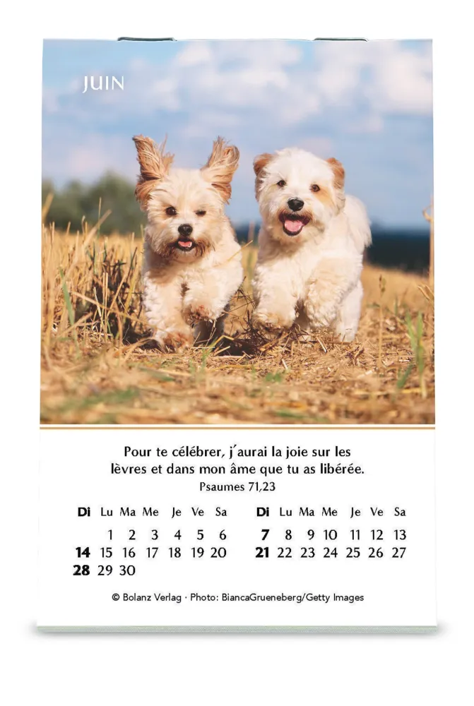 Calendrier - mini joie