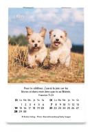 Calendrier - mini joie