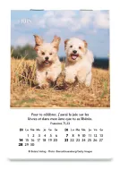 Calendrier - mini joie