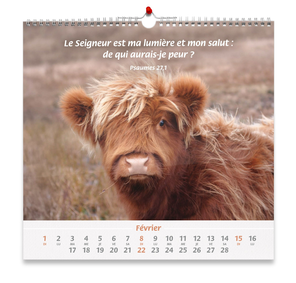 Calendrier - Nos amis les animaux