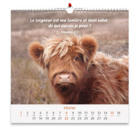 Calendrier - Nos amis les animaux