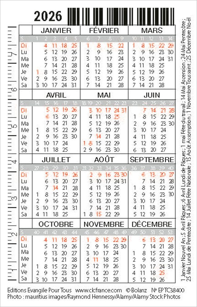 Calendrier carte - oiseau
