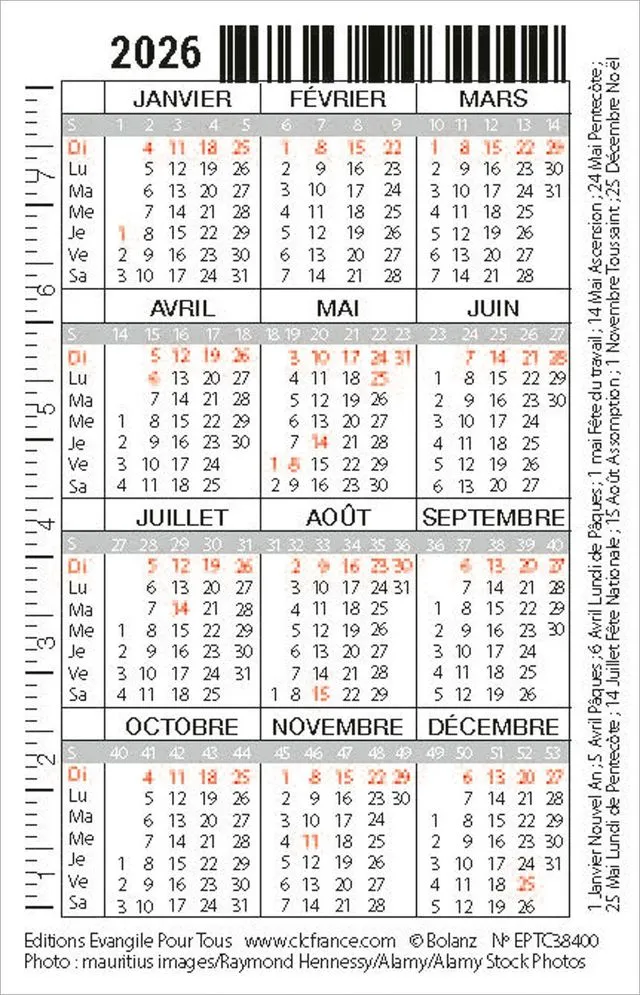 Calendrier carte - oiseau