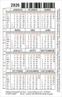 Calendrier carte - chat