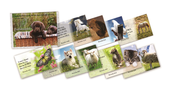 Faithbuilder - Proverbs series