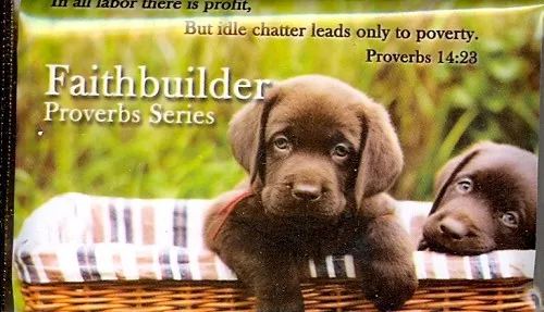 Faithbuilder - Proverbs series