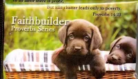 Faithbuilder - Proverbs series