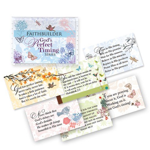 Faithbuilder - God's perfect timing series