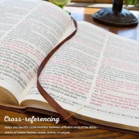 KJV The Holy Bible super giant print gray