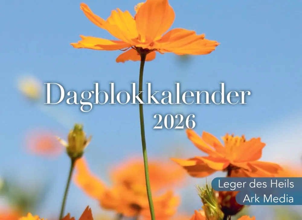 Kalender - Dag in Dag uit - dagblokkalender