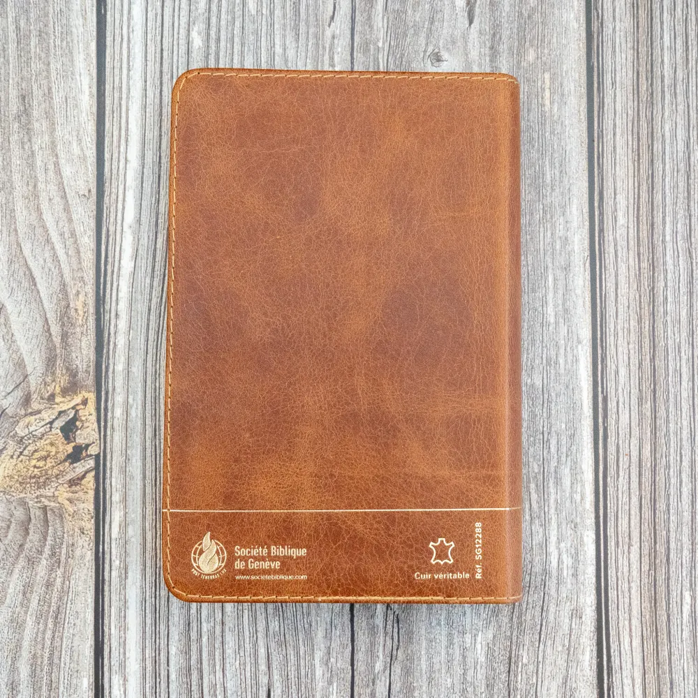 Bible SG21 souple cuir brun or