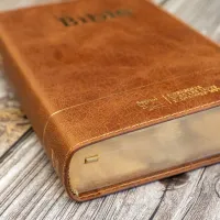 Bible SG21 souple cuir brun or