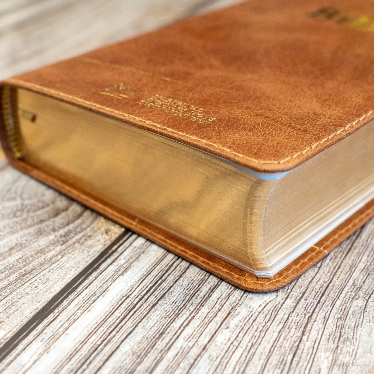Bible SG21 souple cuir brun or