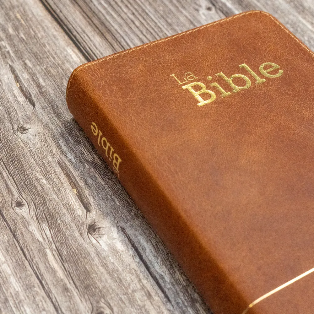 Bible SG21 souple cuir brun or