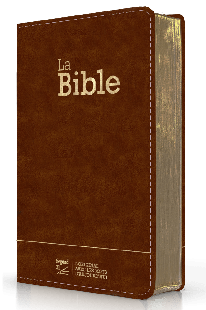 Bible SG21 souple cuir brun or
