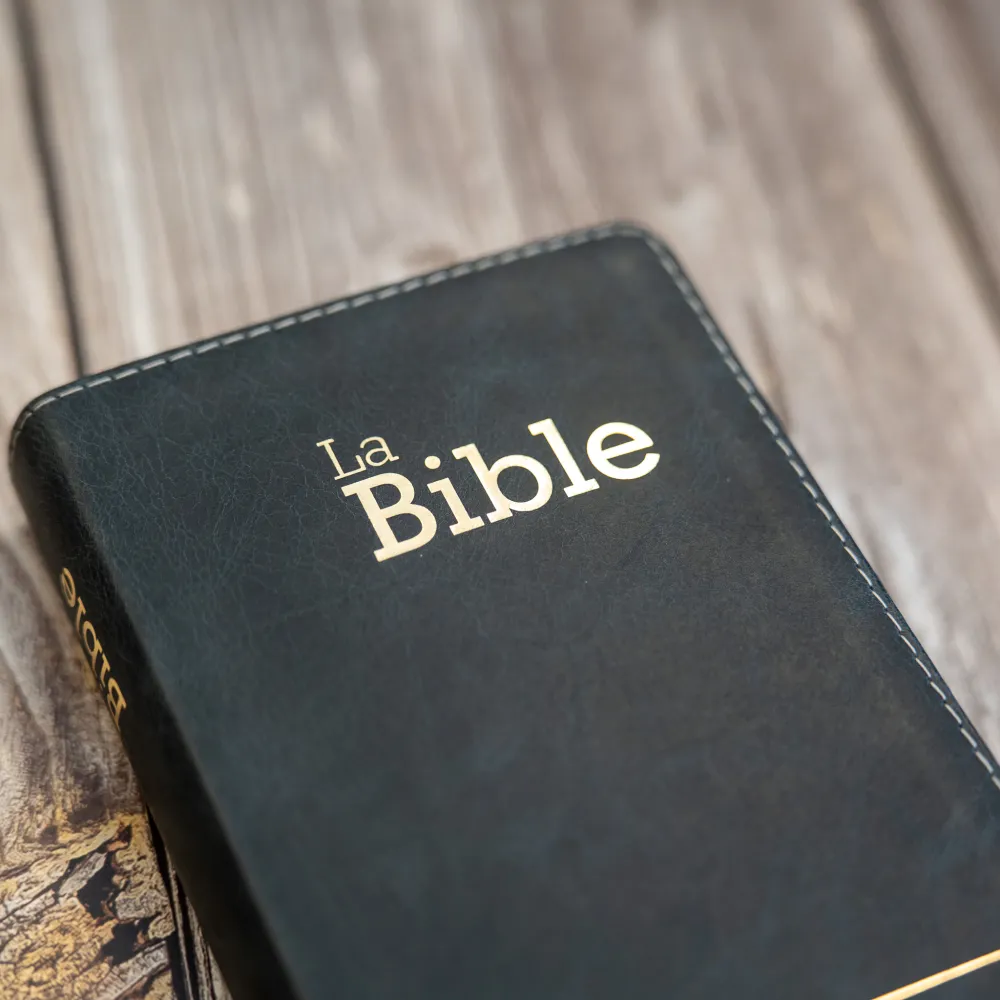 Bible SG21 souple cuir anthracite or