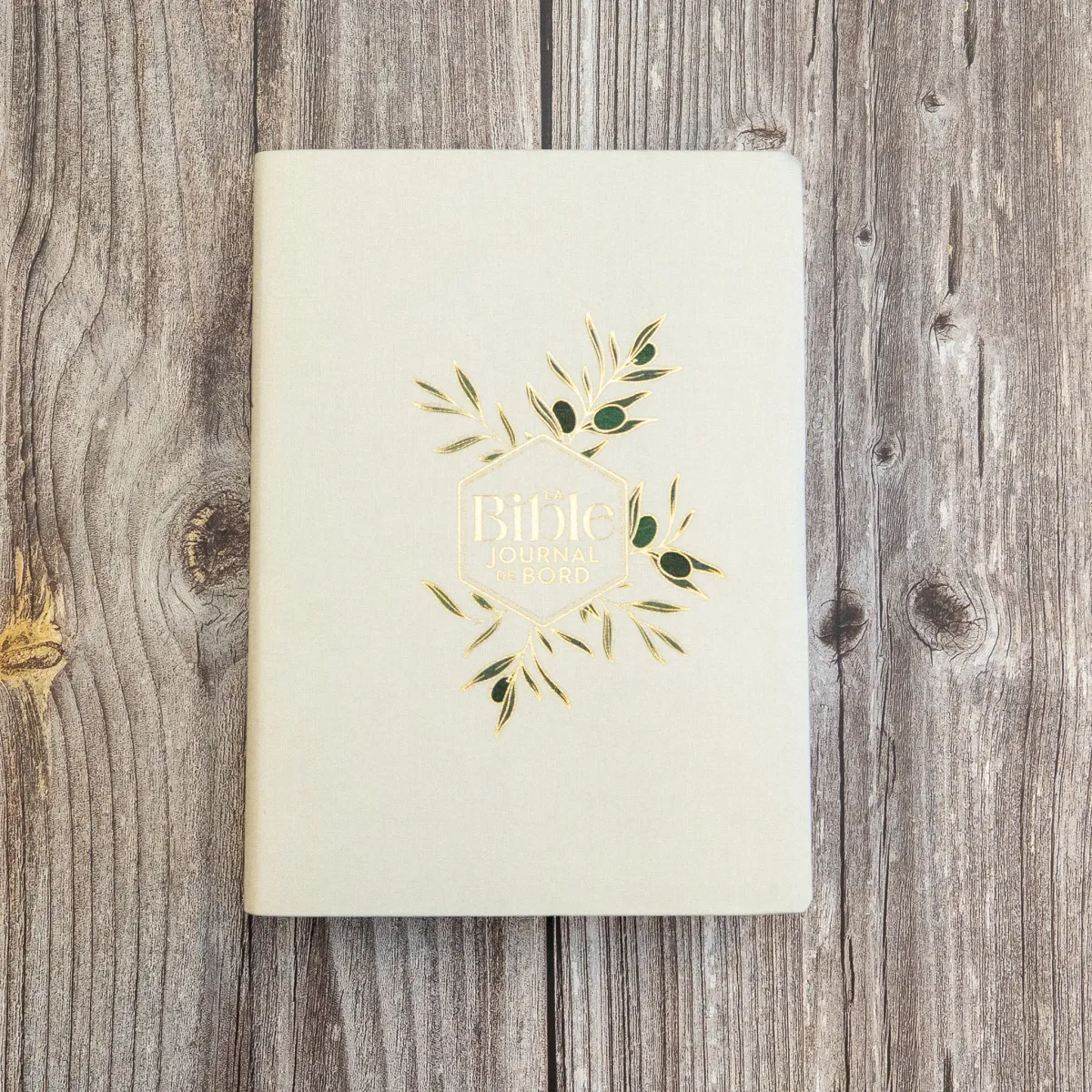 Bible SG21 Journal de bord souple textile bleige