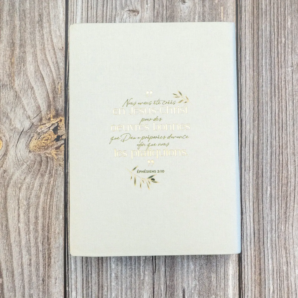 Bible SG21 Journal de bord souple textile bleige