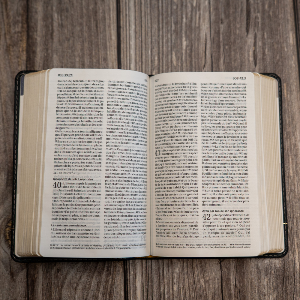 Bible SG21 souple cuir anthracite or